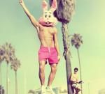 Фотография Devlinker