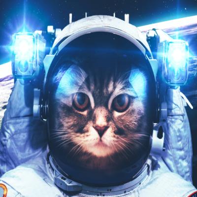 Фотография Aloha